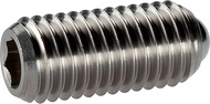 HALDER 22030.0220 Spring Pressure Piece with Ball and Hexagon Socket/Stainless Steel, Standard Sprin