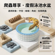Tortoise Station | Reptile Water Basin Bathtub Modeling Gecko Water Basin Gecko Food Basin Snake Wat