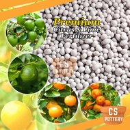 Premium Citrus and Lime Fertilizer Baja Limau Kasturi Citrus Fruiting Fertilizer NPK 13-11-21 优质柑橘肥