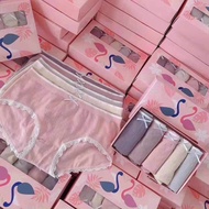BOX OF 5 SWAN UNDERWEAR