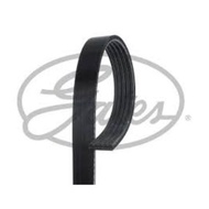 Front Engine Belt 5PK PAJERO V23W 6G72 3.0 V6 1990-1995 Power CARISMA 4G92 1.6 4G93 1.8 16V.
