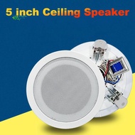 5 Inch Ceiling Speaker 10W Loud Speaker Stereo Sound for Public Address Background Music Audio(Level Pressure)