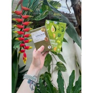 Trà giảm cân thảo mộc Slim X3 tặng rau xanh