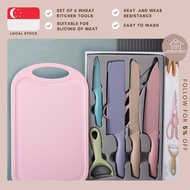 [SG STOCKS]EVCRIVERH KITCHEN KNIFE SET/AESTHETICALLY PLEASING KNIFE SET