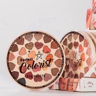 Eyeshadow palette perfect colorists 30colours
