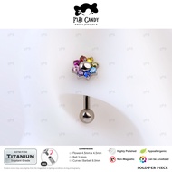 FiBiCandy ICB0023 Belldandy Rainbow Rook 16G Astm F136 Titanium Earring Piercing Ball End
