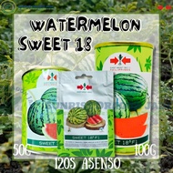 SWEET 18 SEEDS (WATERMELON)-East-West Seed