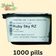 RUBY SKY RZ SEEDS BATAVIA LETTUCE (1000 PILLS) BY RIJK ZWAAN