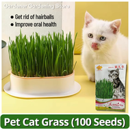 เมล็ดหญ้าแมว เมล็ดข้าวสาลี เมล็ดพันธุ์ 100 เมล็ด Natural Organic Cat Grass Seeds พืชไฮโดรโปนิ ออแกนิ