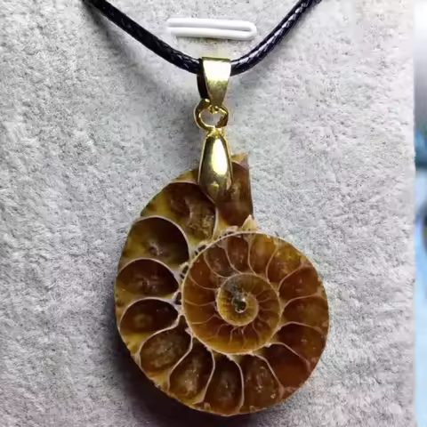 Natural Ammonite Stone Pendant Charms Lucky Fortune Necklace for Women Men Jewelry with String