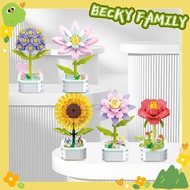 ✨SG✨Flower Building Blocks Compatible Flower Bouquet DIY Mini Small Particle Building Blocks Immorta