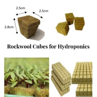 Grodan Rockwool Cubes for Hydroponics Aeroponics