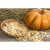 1kg roasted pumpkin seeds pumpkin seeds roasted pumpkin seeds 1kg