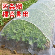 40 Mesh Gauze 40 Mesh Insect Net 60 Mesh Gauze Agricultural Insect Net Vegetable Insect Net Insect N