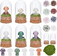 WEBEEDY Mini Mushroom Terrarium Bottle DIY Decorative Bottles Ornaments Kit 3cm/1.18" Small Glass Bottle Display Dome with Cork Base 6 Sets for Fairy Birthday Wedding Party Favors Home Decoration