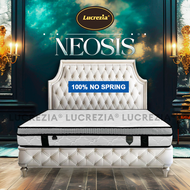 Lucrezia Neosis 10 inch Latex Feel Foam Coconut Fibre Mattress / Tilam / 椰丝床垫 Queen / King / Single 