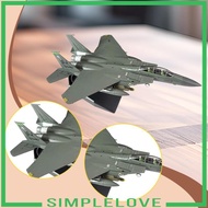 [Simple] 1/100 Scale F-15E Fighter Model Plane Figurine for Bookshelf Bedroom Home