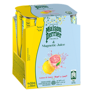 MAGNETIC JUICE 含氣檸檬番石榴果汁飲料 250ml x 4 (罐裝)(BBD 22 Jan 2027)