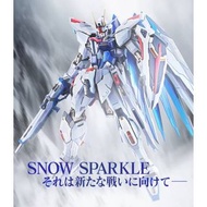 現貨 日版 有運輸貼 METAL BUILD FREEDOM GUNDAM CONCEPT 2 SNOW SPARKLE Ver. MB 自由高達 2.0 耀雪版 魂展 23