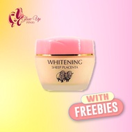 ۩♗▣Original 100% Authentic Andrea Secret Sheep Placenta Whitening Foundation Cream 70g Beauty Make U