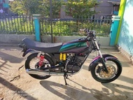 cat bunglon 3 warna 250ml blue-green red special color