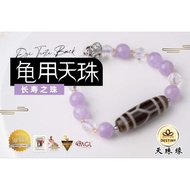 龟甲天珠 TURTLE BACK DZI 老天珠 ANTIQUE DZI 长寿之珠