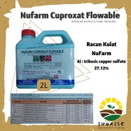 HITAM 2l Nufarm Cuproxat Flowable tribasic copper sulphate long bean fungicide anthracnose black fru