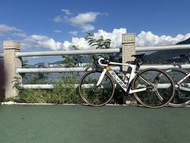 Elves falath evo 歡迎換車(拒絕子彈仔，fixed gear )