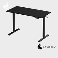 Squirrey Electric Height Adjustable Desk Advanced Version [ 120x60cm 73-121cm Height Adjust 4 Memory Setting 2 USB Charging Port 50kg Load Capacity Anti-Collision System Ergonomic Table Furniture Workplace Office Home ]