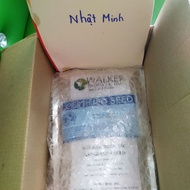 100 GRANDE F1 Green Asparagus Seeds (USA)