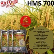 Benih Padi Unggul HMS700 / Bibit Padi Unggul HMS700 1kg