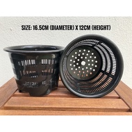12/24pcs Orchid Hydroponics Aroid Pot Planter / Super Good Quality Plastic Basket Net Flower Pot