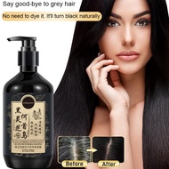 Oil Control Black Sesame Ginger Shampoo