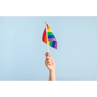 Mobile Flag Rainbow Multi-Colored plastic Stem LGBT PRIDE Hand Waver with straw holder