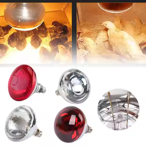 Red Heat Lamps Outdoor Bulbs For Pets Flood Light Bulb For Chickens 100W Reptile Heat Lamp Bulb Full