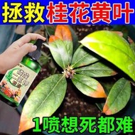 現貨  快速發貨 特價 ??有機肥 花肥 開花肥 肥料 氮磷鉀 磷鉀肥 磷酸二氫鉀 桂花營養防葉尖干枯發黃花期短花肥桂花