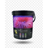 H2Ocean Classic Formula Salt 23Kg