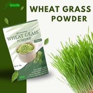 Organic Wheat Grass Powder (WheatGrass) - Sulit Pack