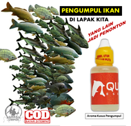 Pengumpul Ikan Mas Nila Lele Tawes Patin Mujaer Nilem Bawal Tombro - Essen boom fishing Aquatic Esse