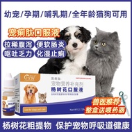 Cat Diarrhea Medicine Dog Cat Pull Belly Medicine Dog Pull Belly Pull Belly Medicine Pet Diarrhea Me