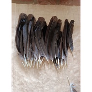 50 black chicken wings