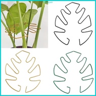 RPAN Monstera Plant Support Stakes Vertical Growth Monstera Holder for Monstera Plant Indoor and Out