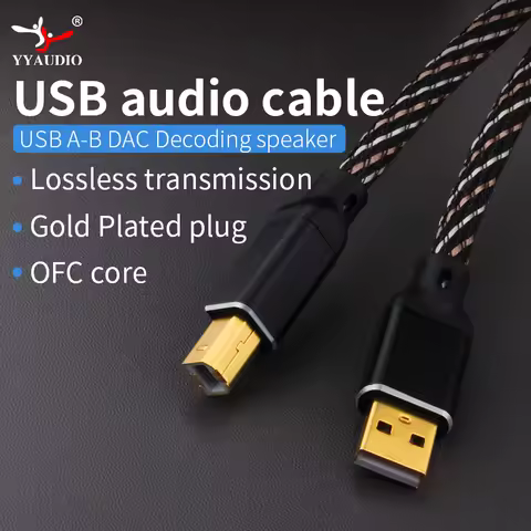 YYAUDIO HIFI USB OTG cable usB TypeA to B USB Cable 6N OFc Type c to BAudio Cable Decoder DAc sound 