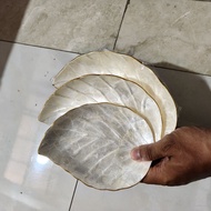 Shell plate white leaf set 3 shell plates craft