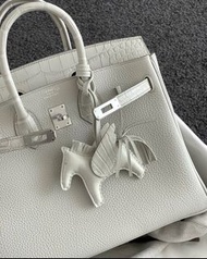 Hermes Birkin 25 touch 8L 霧面鱷 很好價😍