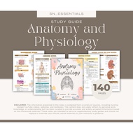 Anatomy and Physiology Study Guide