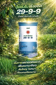 ปุ๋ยคอมปาวด์ 29-9-9 เป็นปุ๋ยเคมีเม็ดสูตรเข้มข้นที่มีไนโตรเจนสูงถึง 29%   ขนาด 25 กก.