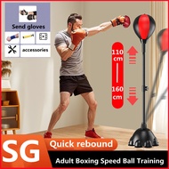[Kennard] Adult Boxing Speed Ball Training  bags Speed boxing bag Balls with Glove + Pump + Base