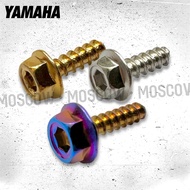1 BIJI BAUT PROBOLT BODY SERKUP CHROME CROME CROM GOLD TWOTONE TWO TONE 2TONE MOTOR HONDA YAMAHA Mio