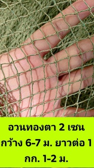 เนื้ออวนทองตา 2 เซน อวนมือสอง กั้นไก่ ล้อมคอก ลากปลา เป็นผืนเลือกความยาวได้ ขายเป็นกิโลกรัม (โปรดอ่านรายละเอียดก่อนสั่งซื้อครับ) A.